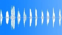 Human, VocalSound Effect