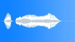 Human voice clipSound Effect