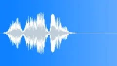 Human voice clip Sound Effect