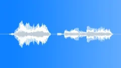 Human voice clip Sound Effect