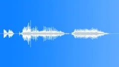 Human voice clip Sound Effect