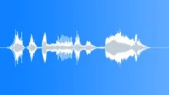 Human voice clip Sound Effect