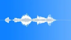 Human voice clip Sound Effect