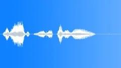 Human voice clipSound Effect
