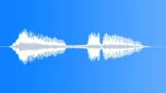 Human voice clipSound Effect