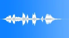Human voice clipSound Effect