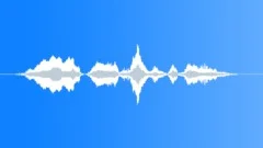 Human voice clipSound Effect