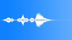 Human voice clip Sound Effect