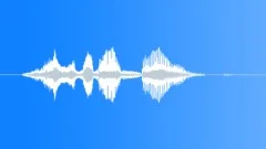 Human voice clip Sound Effect