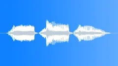 Human voice clip Sound Effect