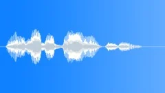 Human voice clip Sound Effect