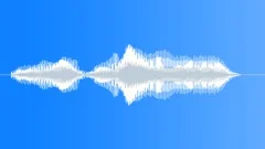 Human voice clip Sound Effect