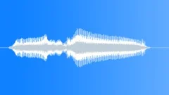 Human voice clip Sound Effect