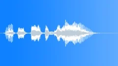Human voice clip Sound Effect