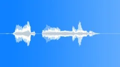 Human voice clip Sound Effect
