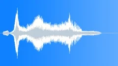 Human voice clipSound Effect