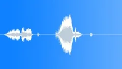 Human voice clipSound Effect