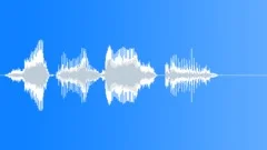 Human voice clipSound Effect
