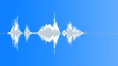Human voice clipSound Effect