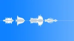 Human voice clipSound Effect