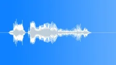 Human voice clipSound Effect