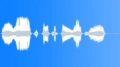 Human voice clipSound Effect