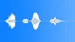 Human voice clipSound Effect