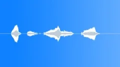Human voice clipSound Effect