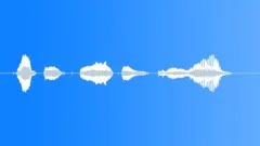 Human voice clipSound Effect