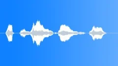 Human voice clipSound Effect