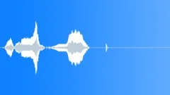 Human voice clipSound Effect