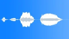 Human voice clipSound Effect