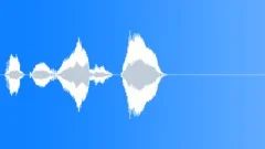 Human voice clip Sound Effect