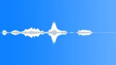 Human voice clipSound Effect