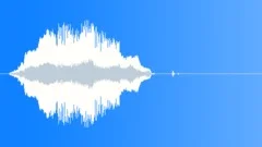 Human voice clip Sound Effect