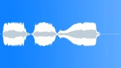 Human voice clip Sound Effect