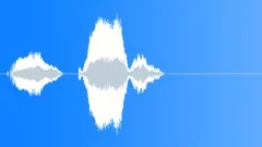 Human voice clip Sound Effect