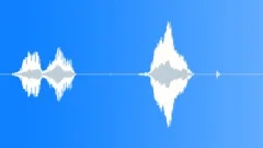 Human voice clip Sound Effect