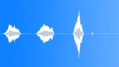 Human voice clip Sound Effect