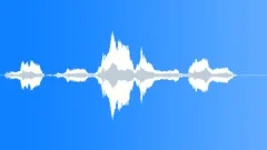 Human voice clipSound Effect
