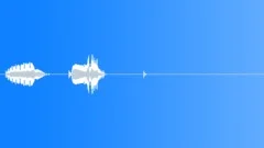 Human voice clip Sound Effect