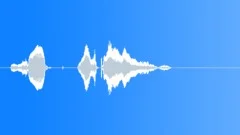 Human voice clip Sound Effect