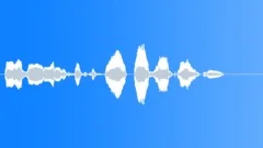 Human voice clipSound Effect