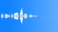 Human voice clipSound Effect