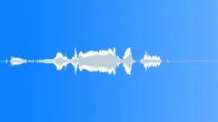 Human voice clip Sound Effect