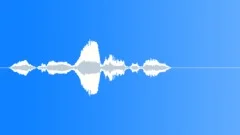 Human voice clipSound Effect