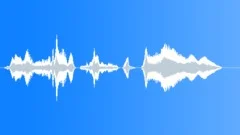 Human voice clipSound Effect