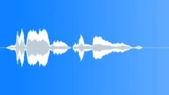 Human voice clipSound Effect
