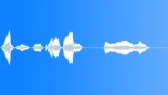 Human voice clip Sound Effect