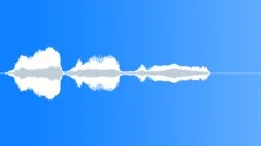 Human voice clipSound Effect